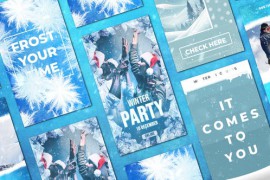 Winter Frost Instagram Christmas Stories Post 2 49000682