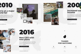 Clean Corporate Timeline Presentation for DaVinci Resolve 50500886