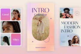 Stylish Vertical Intro 3in1 46791840