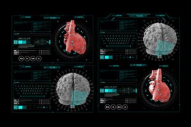 HUD Info Medical Panel 1 44953598