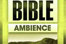 Sound Effects Bible Ambience ACID WAV-MAGNETRiXX