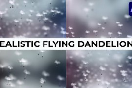 Realistic Flying Dandelions for After Effects 52661156