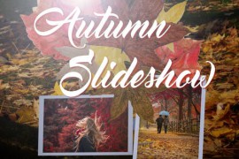 Autumn Slideshow Memories 48383892