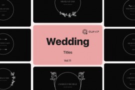 Wedding Titles for Premiere Pro Vol. 11 49053449