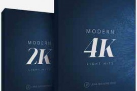 Lens Distortions - Modern Light Hits