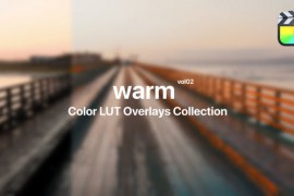 Warm Color Presets for Final Cut Pro Vol. 02 48369894