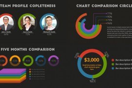 Infographic Report 10645441