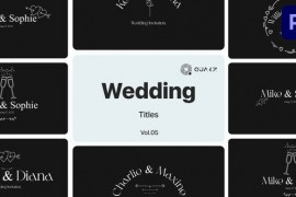 Wedding Titles for Premiere Pro Vol. 05 49000026