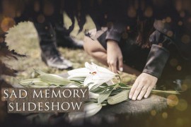Sad Memory Slideshow 43443192