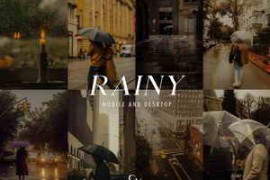Free Download:Rainy Day Lightroom Presets: Moody Film Filter