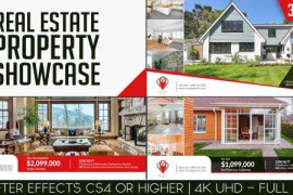 Real Estate Property Showcase 16772933