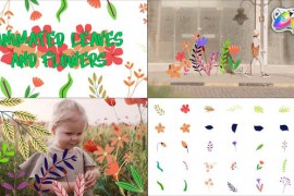 Animated Leaves And Flowers for FCPX 42945439
