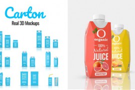 Carton Real 3D Mockups 45490991