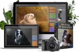 Free Download:LSP Actions – Fur Babies v3 – Photoshop Action Suite