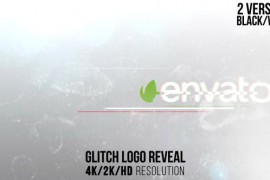 Glitch Logo Reveal 14969091