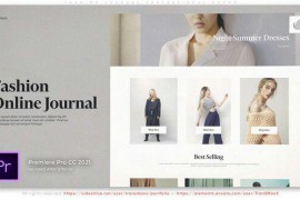 Fashion Journal Professional Promo 50533115