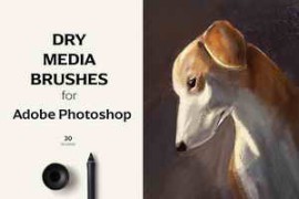 Free Download:Dry Media Brushes – PS
