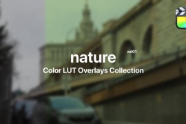 Nature Color Presets for Final Cut Pro Vol. 01 48261198