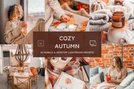 CreativeMarket – 10 Cozy Autumn Lightroom Presets 286132857