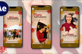 Season Story 48064401