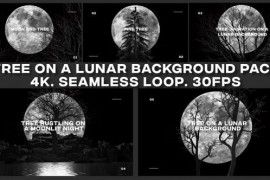 Tree On A Lunar Background Pack 52113809