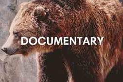 Free Documentary LUTs