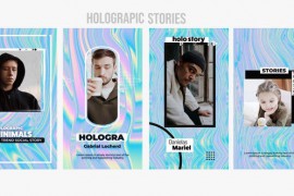 Holographic Stories 43726547