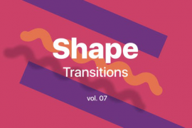 Shape Transitions Vol. 07 45533003