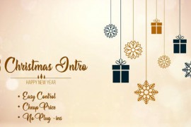 3 Christmas Intro 49216938