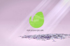 Flourishing Logo Unveil | After Effects 51812873