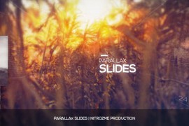 Parallax Slides 17484337