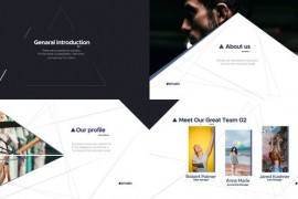 Triangle Corporate 48646748