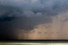 SFXsource Nature WAV-DISCOVER