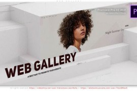 Web Gallery 48107922