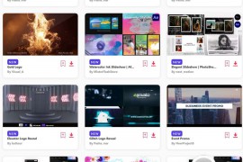 2023.2.11.11.Set.AE.Templates