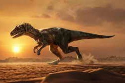 Udemy – How to Animate an Irex Walk Cycle in Autodesk Maya