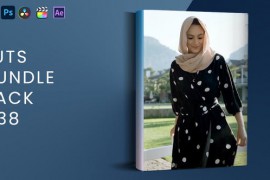 LUTs Bundle Pack V38 46852317