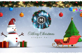 Christmas Winter Logo Reveal 49836313