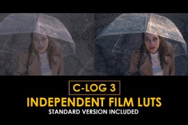 Canon C-Log3 Independent Film and Standard Color LUTs 50876999