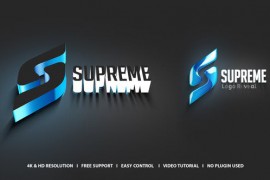 Logo Reveal 44880417