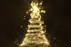 Christmas Tree 20992865