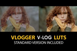 V-Log Vlogger and Standard Color LUTs 51443778