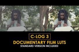C-Log3 Documentary Film and Standard Color LUTs 51226846