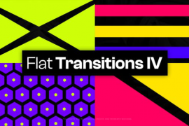 25 Flat Transitions IV 48028018