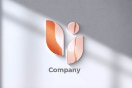 Logo Reveal 51811146