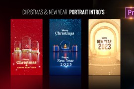 Christmas & New Year Portrait Intros Pre PRO 42641675