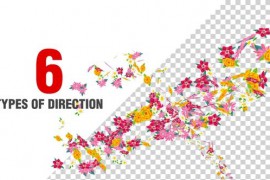 Multiple Flowers Spiral Pack 50948326