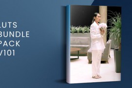 LUTs Bundle Pack V101 | FCPX 50195981