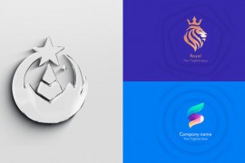 Minimal Clean Logo Reveal 44025574