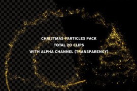 Christmas Particles Pack 22988844